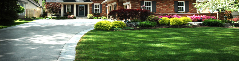 Landscaping in Grande Prairie